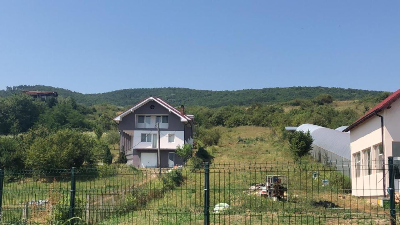 Lidia House Apartment Алба Юлия Екстериор снимка