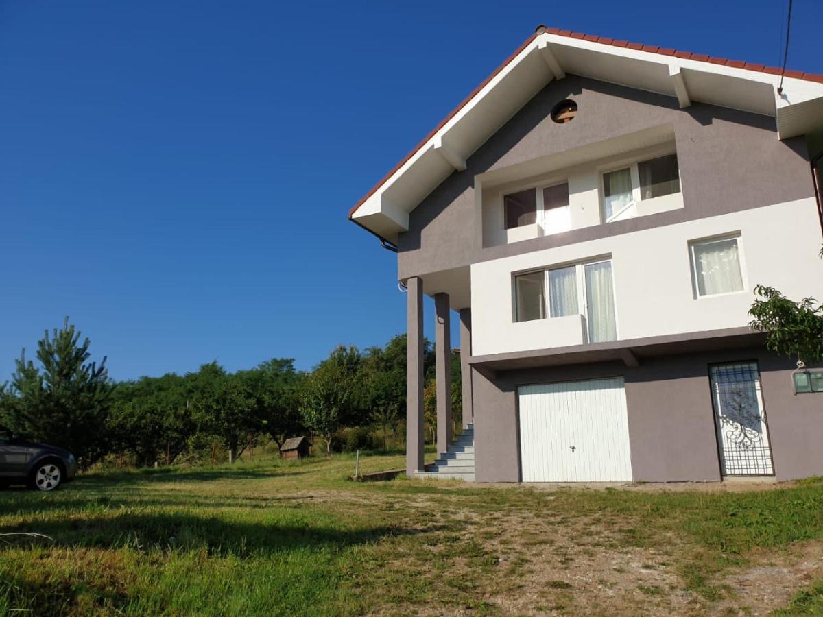 Lidia House Apartment Алба Юлия Екстериор снимка