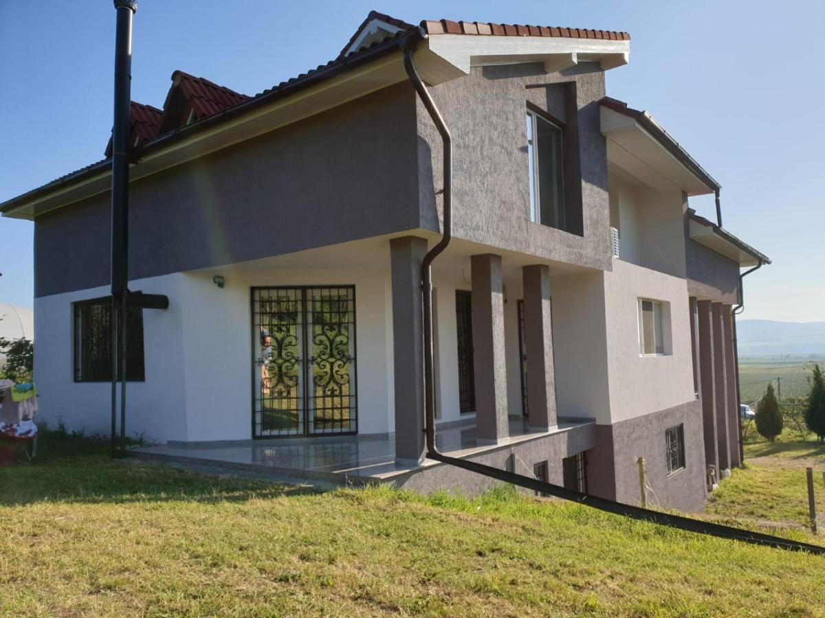 Lidia House Apartment Алба Юлия Екстериор снимка