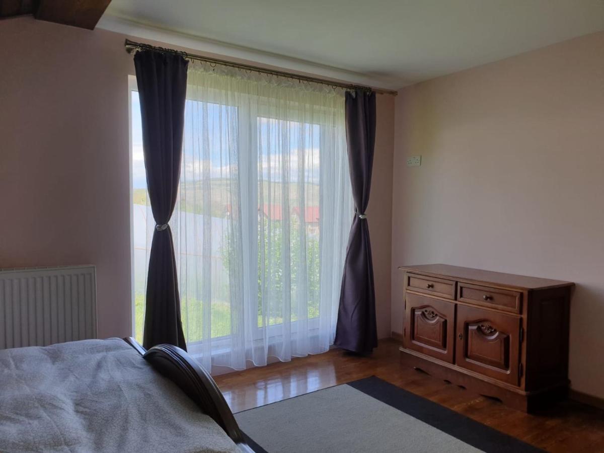 Lidia House Apartment Алба Юлия Екстериор снимка